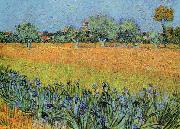 Vincent Van Gogh View of Arles With Iris oil painting picture wholesale
